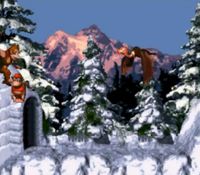 une photo d'Ã©cran de Donkey Kong Country sur Nintendo Super Nes